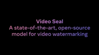 Video Seal thumbnail