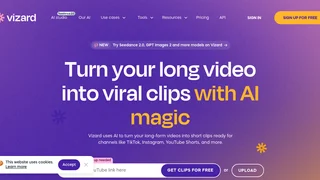 Vizard thumbnail